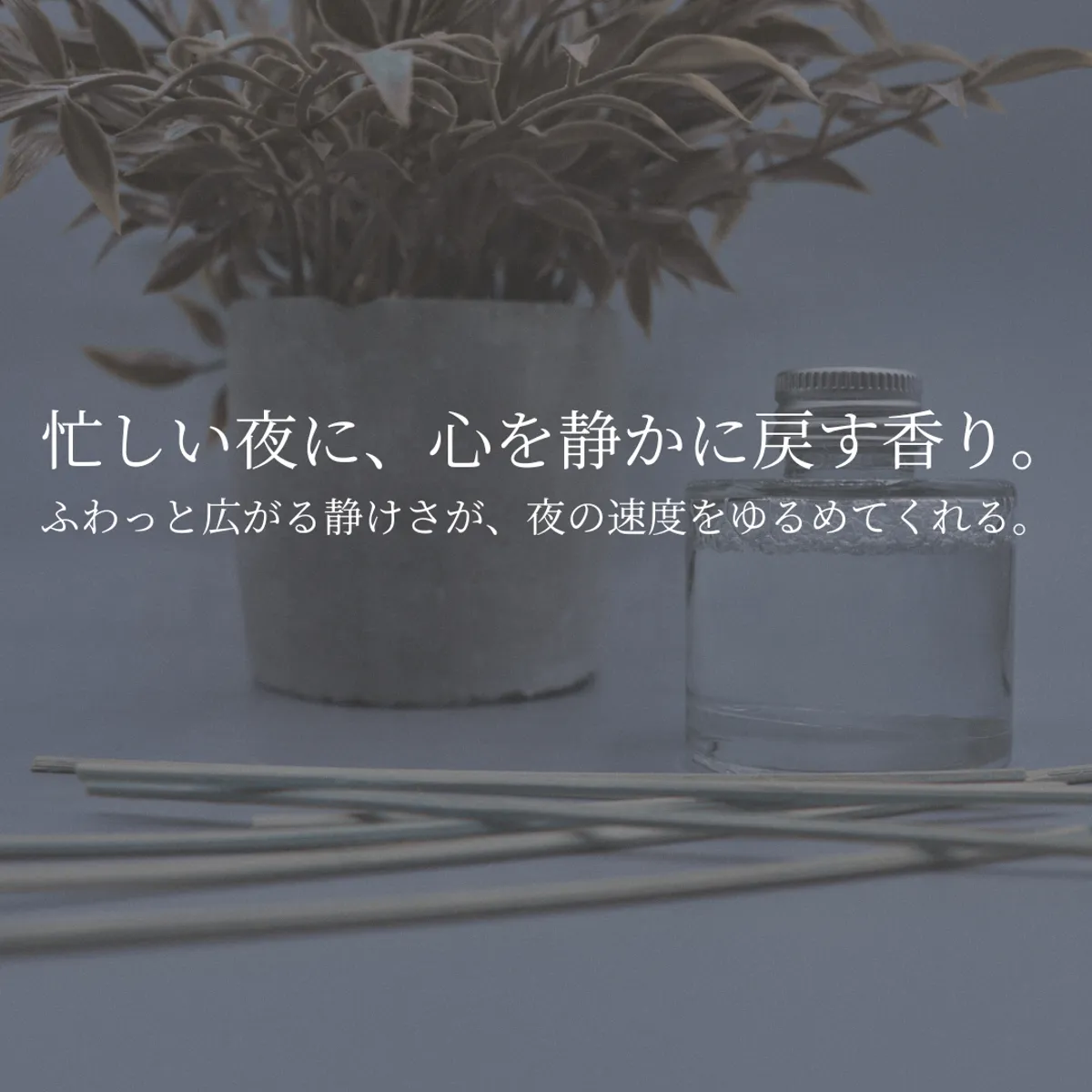 夜のセルフケアにそっと寄り添う、やさしい雰囲気の写真。忙しい夜に寄り添う静かな香りのイメージです。