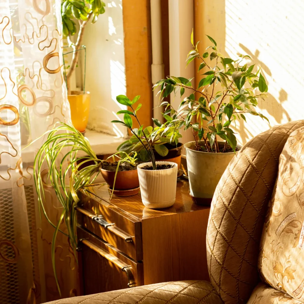 夜のセルフケアにやさしく寄り添う、落ち着いた雰囲気のフェムケアイメージ写真です。デリケートゾーンのにおいをケアするための基本的な整え方をイメージした写真です。