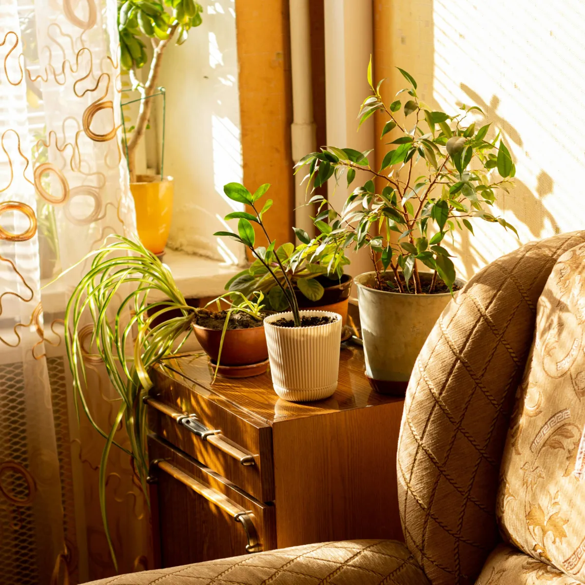 夜のセルフケアにやさしく寄り添う、落ち着いた雰囲気のフェムケアイメージ写真です。デリケートゾーンのにおいをケアするための基本的な整え方をイメージした写真です。